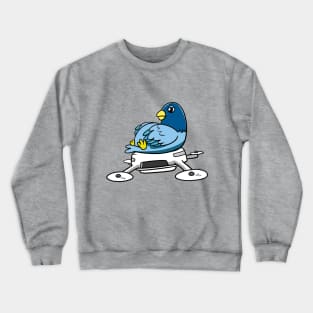 Lazy Bird Crewneck Sweatshirt